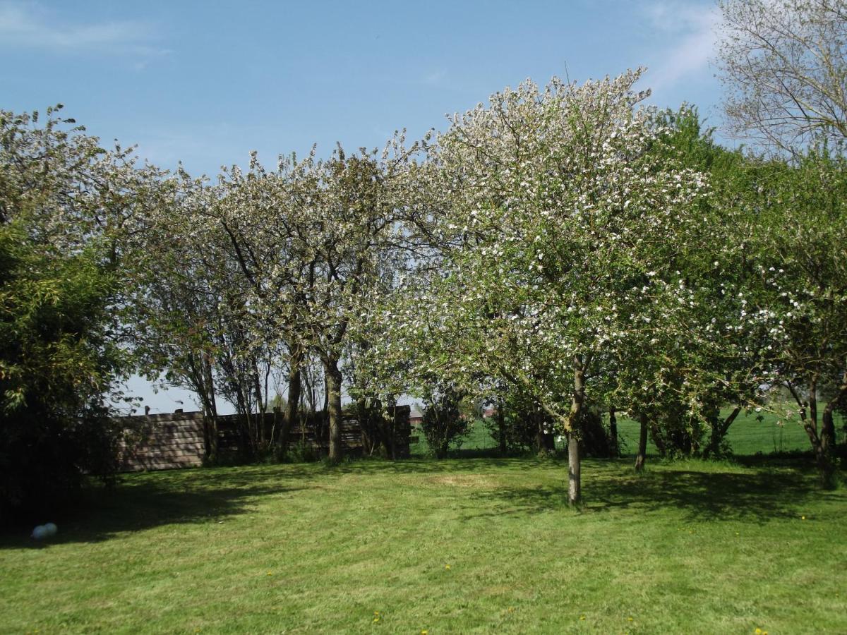 Steenvoorde Au Bonheur Frontalier Bed & Breakfast エクステリア 写真